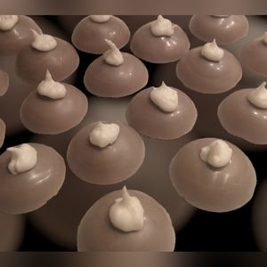 Handcrafted Hot Cocoa Soy Wax Melts